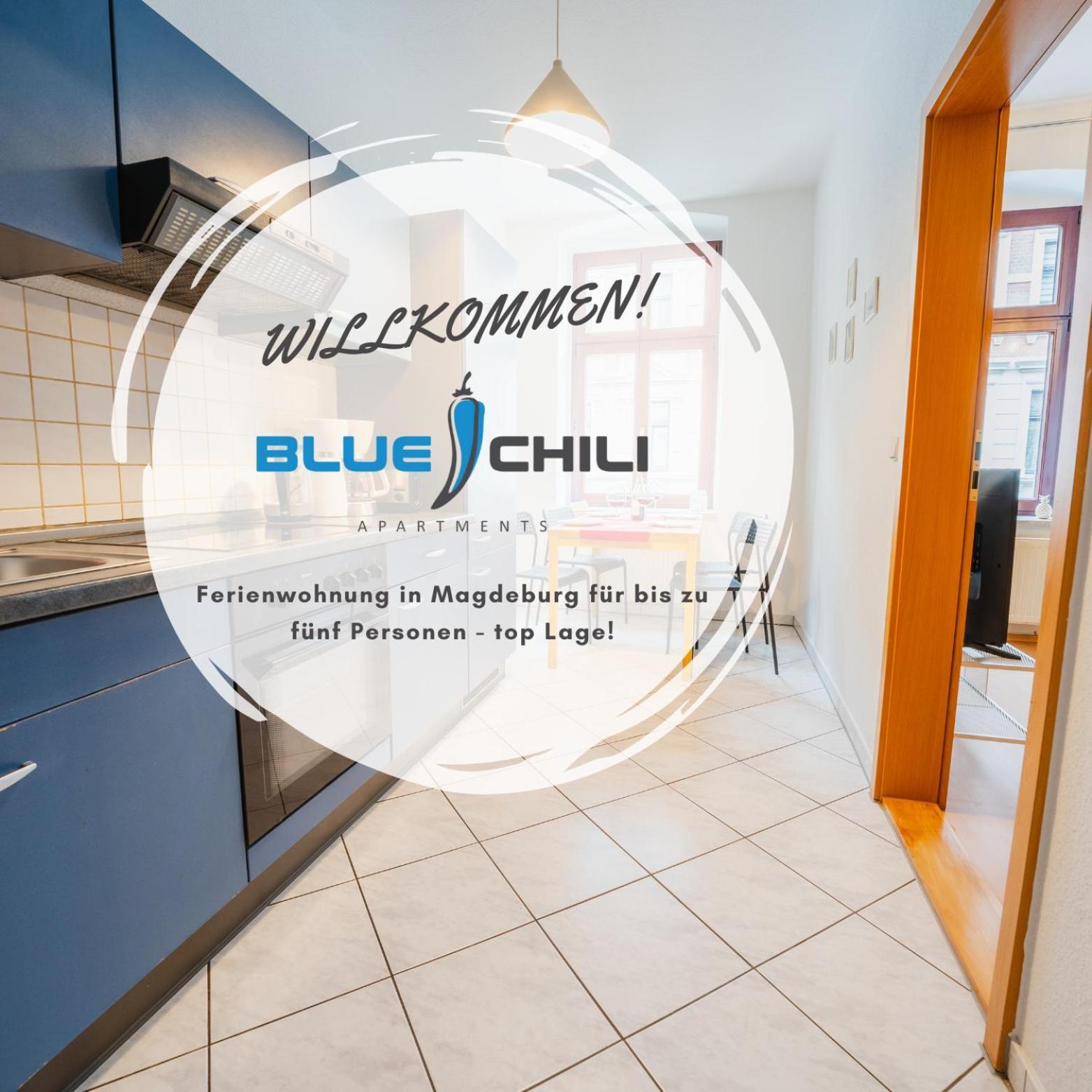 Blue Chili 08 - Magdeburg 2-Zimmer Altbau, Wi-Fi, 5 Pax Zewnętrze zdjęcie